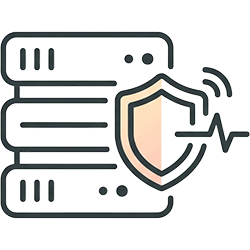Hosting, Support & Maintenance